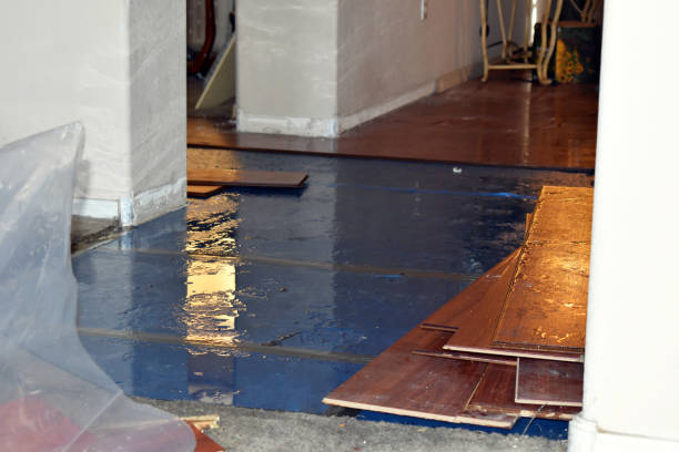 Professional Water Damage Repair technician working in Porterfield, WI